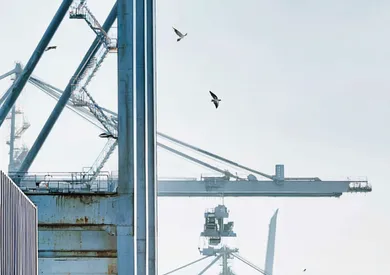 Cargo pre-loading and on-delivery survey