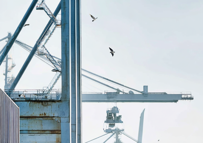 Cargo pre-loading and on-delivery survey